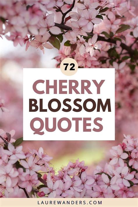 cherry blossom.captions|cherry blossom captions funny.